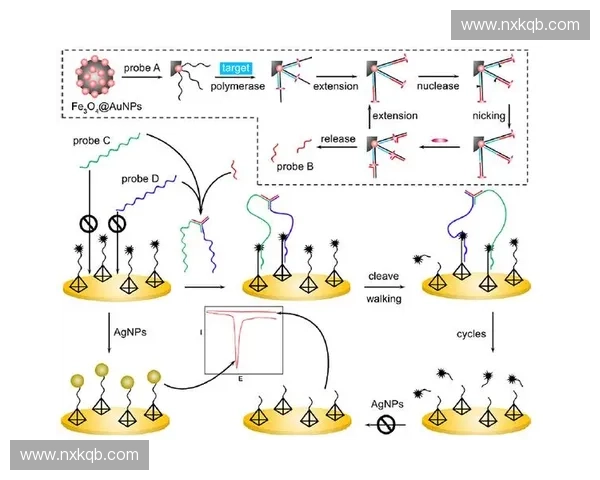 基于深度学习的运动状态识别方法研究与应用进展分析