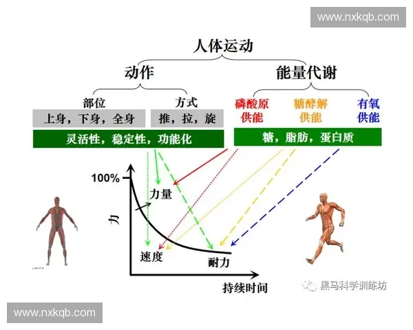 急停变向技巧解析与实战应用全面提升运动灵活性训练